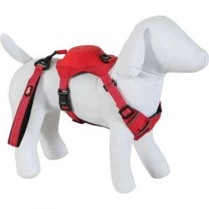 Zolux Harnais pour chien et Laisse Easy Ride