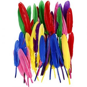 Image de Creotime Plumes, L : 13 cm, couleurs asstd, 48asstd