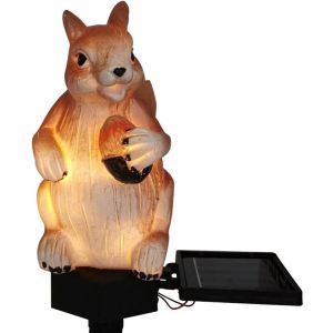 Image de Cureuil solaire &agrave; planter