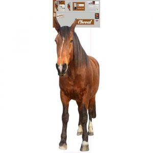 Plage Sticker Décor mural adhésif 3XL - Cheval