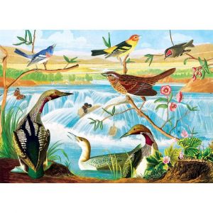 Image de Master pieces Audubon - Harmonie Des Oiseaux Et Des Ruisseaux