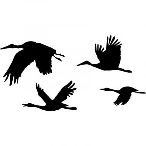 Élégant ensemble d'accessoires muraux décoratifs en métal noir (4 pièces) | 100% métal, épaisseur 1,5 mm | Parfait pour la décoration de la maison, design élégant et polyvalent