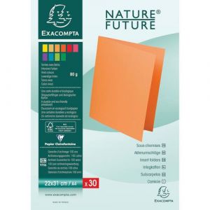 Exacompta R&eacute;f. 807013E - Carton de 10 paquets de 30 sous-chemises ROCK''S 80 g/m2 aux couleurs vives - sous chemises certifi&eacute;es PEFC - dimensions 22 x 31 cm pour format A4 - couleur vert