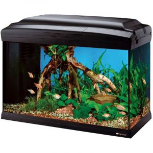 Image de Ferplast Cayman 50 professionnel