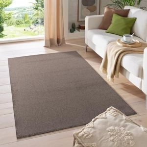 HomebyHome Tapis Salon Moderne Moka 200 x 300