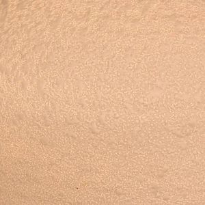 Lampe Seiya pied céramique