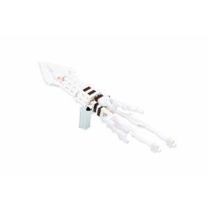 Kawada Nanoblock - Giant Squid