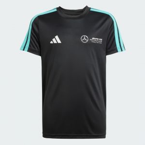 Adidas T-SHIRT MERCEDES - AMG PETRONAS FORMULA ONE TEAM DNA
