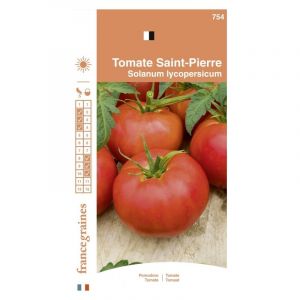 Vilmorin France Graines - Tomate Saint Pierre