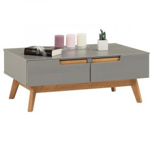 Idimex Table basse TIBOR, 2 tiroirs et 2 niches, lasuré gris