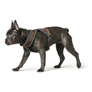 Hunter Harnais pour Chien London Comfort 5262 cm Taille S M Marron