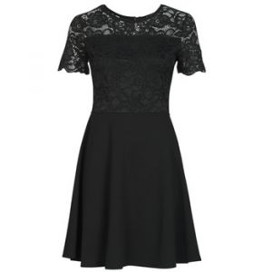 Morgan Robe courte RUBENA Noir - Taille FR 36,FR 38,FR 40,FR 42