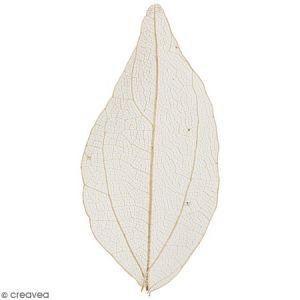 Creotime Feuilles squelettes - Beige - 6-8 cm - 20 pcs