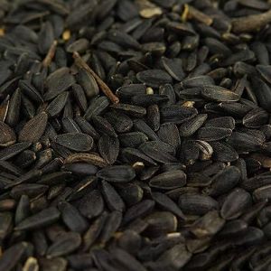 Graines de tournesol noir BusyBeaks - nourriture riche en huile pour oiseaux sauvages de jardin occupés 7.5kg