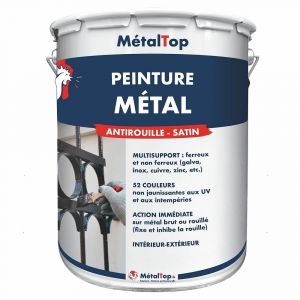 Peinture Metal - Rouge brun - RAL 3011 - Pot 15L