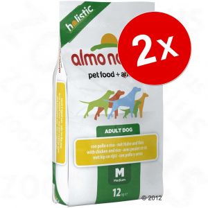 Almo Nature Holistic Large Chiens - Saumon/Riz 12 kg