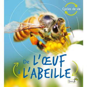 Editions Grenouille De l'œuf à l'abeille
