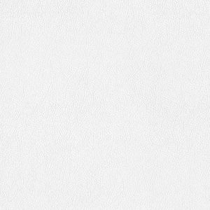 A.S. Creation Papier peint 928818 Meistervlies 2020 | Papier peint Blanc &Uuml;berstreichbar en ligne - Architects Paper