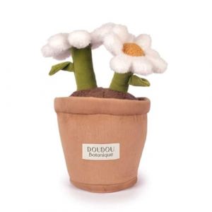Image de Doudou et Compagnie 1 Peluche Fleur Marguerite - 25 Cm - Collection Botanique - Plante Déco en Tissu Ultra Doux - Objet Déco - Idée Cadeau Amoureux Nature pour Enfants & Adultes - SP4347