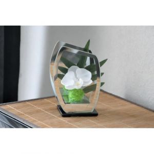 Thé vert du Japon Sencha de lumière Natural Leaf