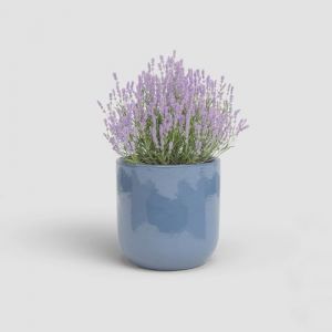 Artevasi Cache-pot jupiter 20 em bleu