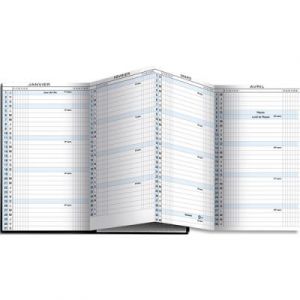 Exacompta 162622E - Recharge Agenda de poche Exaplan 16 accordéon - 9 x 16 cm - Planning mensuel Janvier à décembre 2025