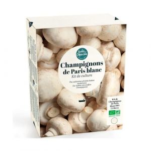 Radis et capucine Kit de culture - Champignons de Paris Blanc - 7,5L