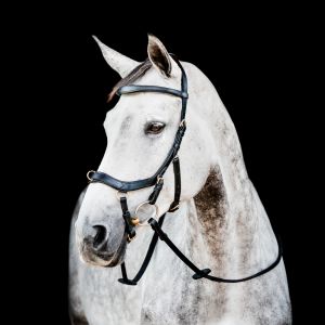 Bridon équitation anatomique Horseware Micklem 2 Multi
