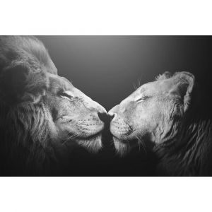 Ceanothe Tableau sur toile bisou de lion 45x65 cm