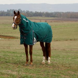Weatherbeeta Couverture d'ext&eacute;rieur pour cheval d&eacute;tachable au coup Comfitec Plus Dynamic 100g