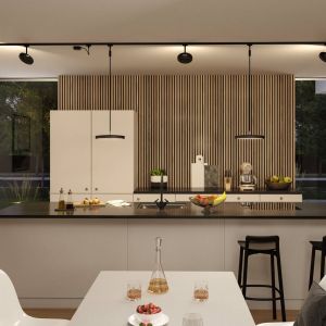 Paulmann URail Hildor spot LED noir 3 000 K