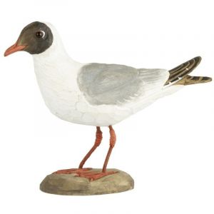 Wildlife garden Décobird Mouette rieuse