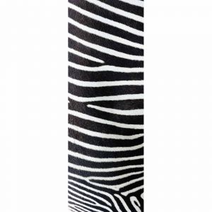 A.S. Creation Papier peint panoramique SkinZebra DD116104 XXL 5 - 280 x 100 cm (1 pièce)