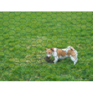 Nature Maille hexagonale en acier galvanisé plastifié vert - Ø 25 mm - 1x5 m