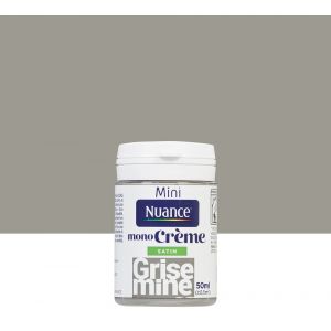 Nuance Peinture MonoCrème Grise mine Satin 50ml