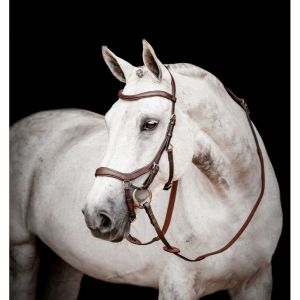 Bridon équitation anatomique Horseware Micklem 2