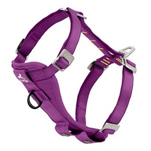 Kurgo Harnais Chien pour la Voiture Tru-Fit, avec Anneau Avant Anti-Traction, Ceinture de Chien Incluse, Violet, S