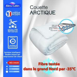 Bleu Câlin Couette Arctique 200 x 200 cm pour lit 120 x 190 cm