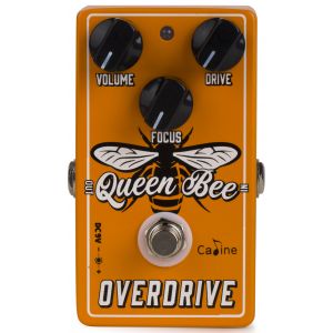 Caline CP 503 Queen Bee OVERDRIVE / Pédale d'effets pour guitare