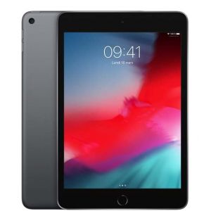 Apple iPad mini 7,9 Wi-Fi 256Go - Gris Sidéral