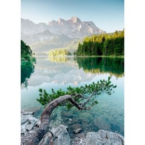 Image de Artis Tableau sur toile branche sur le lac 30x45cm