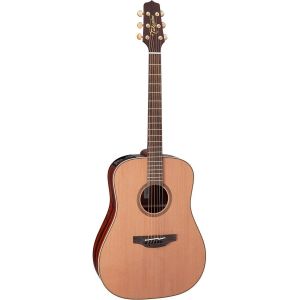 Takamine FN15 AR Natural