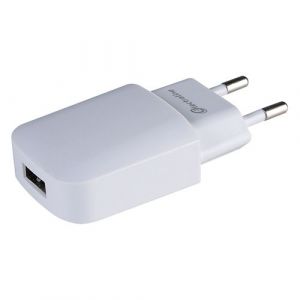 Electraline Adaptateur mâle 6A femelle USB 2A