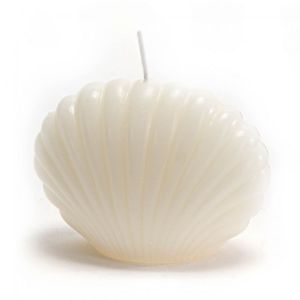 Amadeus Bougie coquillage crème (lot de 8)