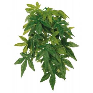Plante tissu &agrave; suspendre, 50 cm Abutilon pour aquari animallparadise AP 76237