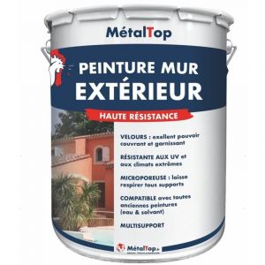 Peinture Mur Exterieur - Metaltop - Blanc cr&egrave;me - RAL 9001 - Pot 5L