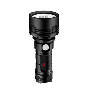 Wonder Lampe de poche Wt10001W 1000 lumen 20W IP44