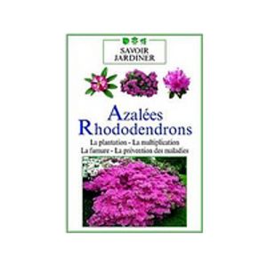 Azalées Rhododendrons