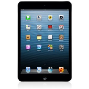 Apple iPad Mini 16 Go