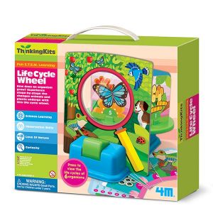 4M - Kidz Labs Cycle de la vie